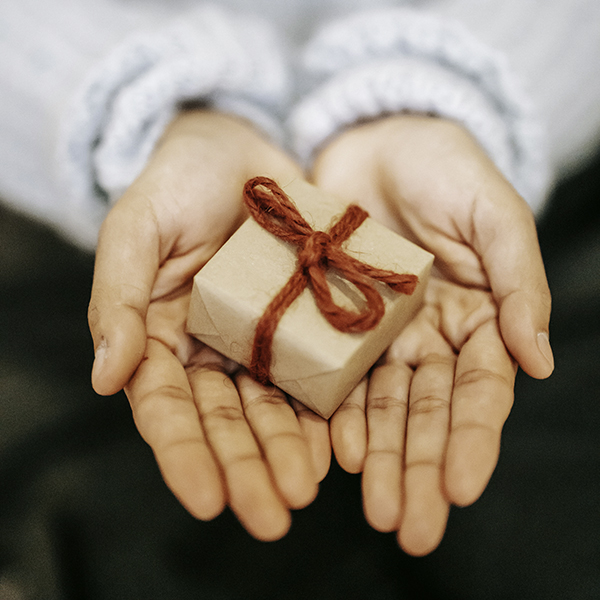 Hands holding gift box