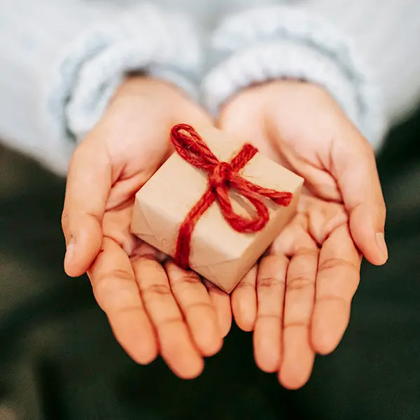 Hands holding gift box