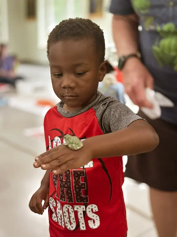 Boy with frog on his hand